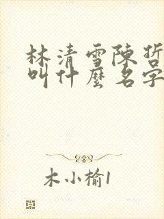 林清雪陈哲小说叫什么名字