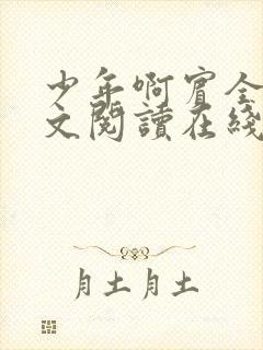 少年啊宾全文全文阅读在线阅读全文