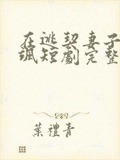 在逃契妻子美又飒短剧完整版