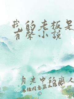 我的老板是阎王有声小说