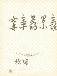 女主是男主下属妻子的小说