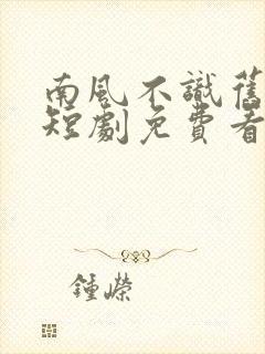 南风不识旧时人短剧免费看