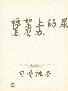 棉絮上的尿骚味怎么办