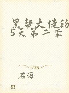 黑帮大佬的365天第二季