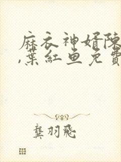 麻衣神婿陈黄皮,叶红鱼免费听书