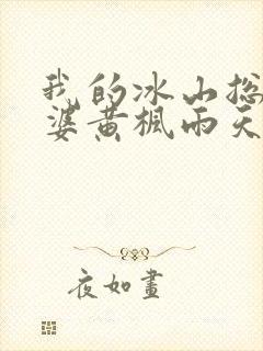 我的冰山总裁老婆黄枫雨天 小说