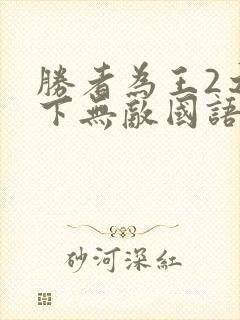 胜者为王2之天下无敌国语版30集