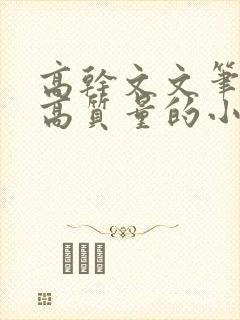 高干文文笔好的高质量的小说现代言情