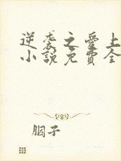 逆袭之爱上情敌小说免费全文阅读下载