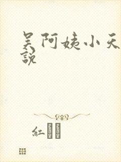 吴阿姨小天的小说