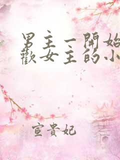 男主一开始不喜欢女主的小说