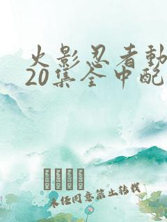 火影忍者动漫720集全中配版免费观看