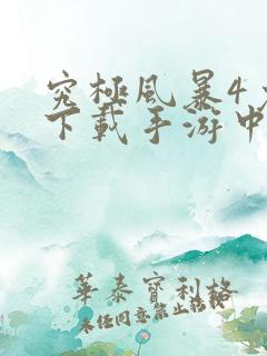 究极风暴4免费下载手游中文