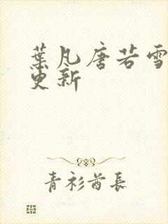 叶凡唐若雪王婿更新