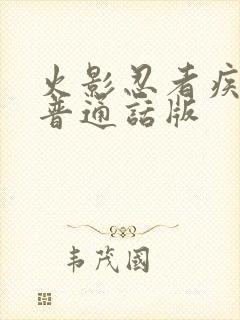 火影忍者疾风传普通话版