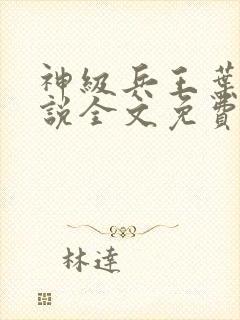 神级兵王叶寒小说全文免费阅读