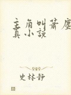 主角叫萧尘的修真小说