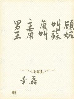 男主角叫顾辞女主角叫苏婉清的小说