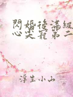 闪婚后满级大佬心尖宠第二部