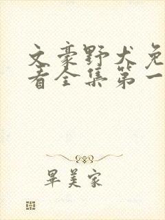 文豪野犬免费观看全集第一季