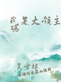 我是大领主兑换码