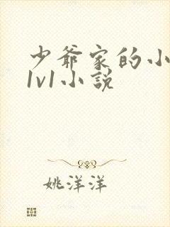 少爷家的小女仆1v1小说