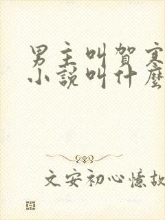 男主叫贺寒川的小说叫什么名