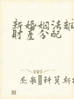 新婚姻法离婚后财产分配