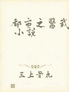 都市之医武兵王 小说