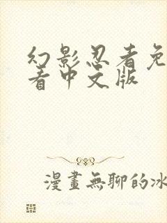 幻影忍者免费观看中文版