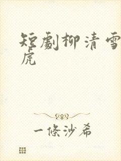 短剧柳清雪许小虎