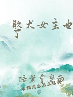 败犬女主也太多了