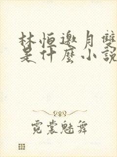 林恒邀月双胞胎是什么小说