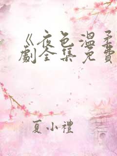 《夜色温柔》短剧全集免费观看