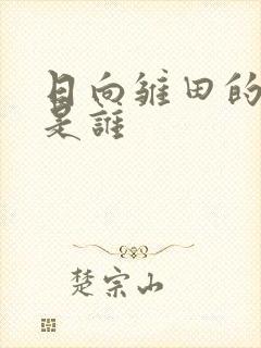 日向雏田的哥哥是谁