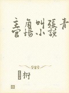 主角叫张青云的官场小说