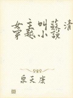 女主叫苏清寒的穿越小说