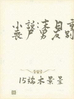 小说:末日重生丧尸男友别追我