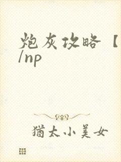 炮灰攻略【快穿/np