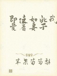 即使如此我还是爱着妻子