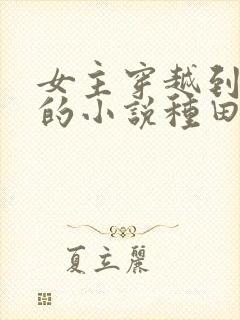 女主穿越到古代的小说种田文