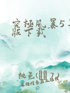 究极风暴5手机版下载