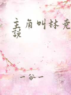 主角叫林尧的小说