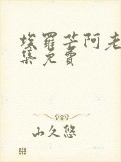 埃罗芒阿老师全集免费