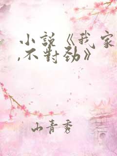 小说《我家娘子,不对劲》