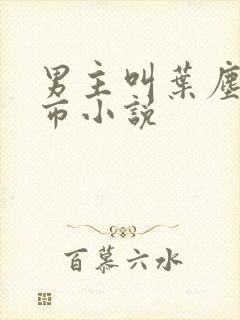 男主叫叶尘的都市小说