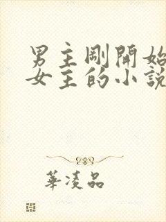 男主刚开始想杀女主的小说