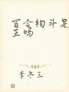 百合绚斗是双男主吗