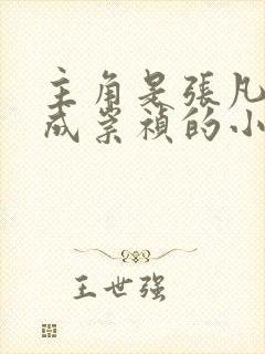 主角是张凡穿越成崇祯的小说