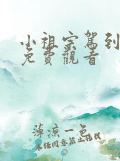 小祖宗驾到短剧免费观看